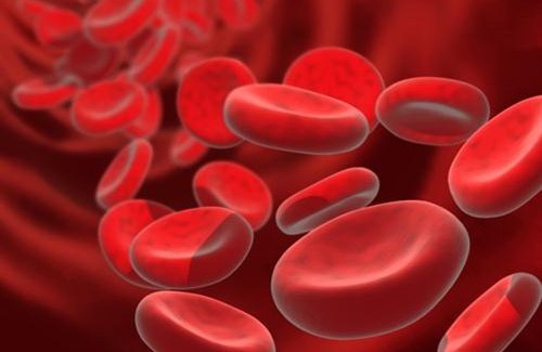 10 easy solutions for anemia