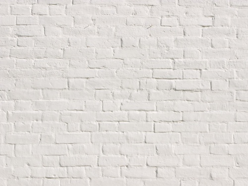 pared-blanca-500x375