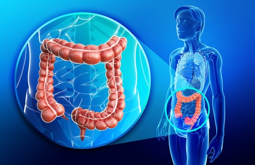 O Magnésio e a Doença de Crohn