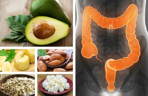 6 alimentos para tratar a síndrome do intestino irritável