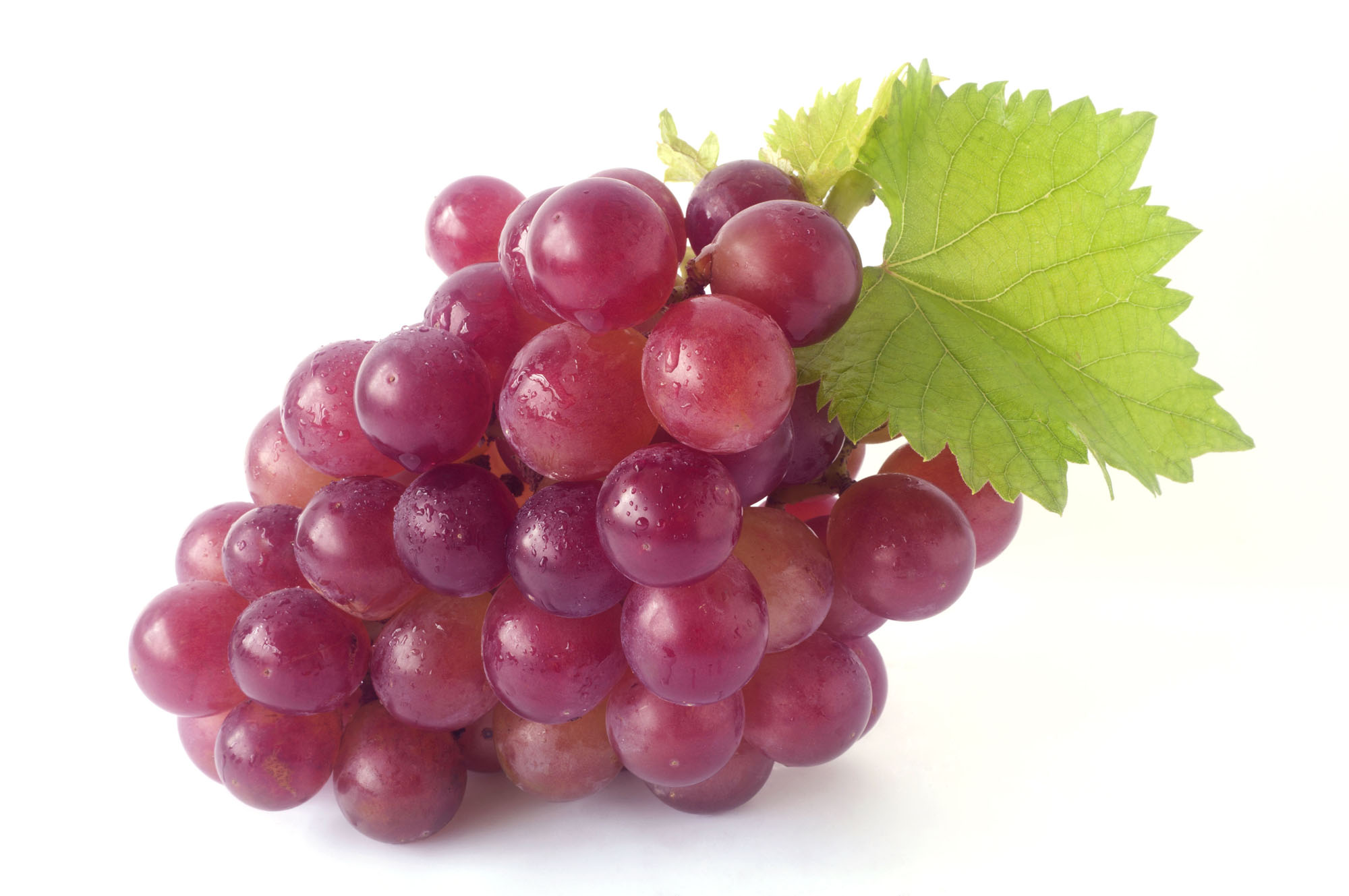 Resultado de imagem para uvas