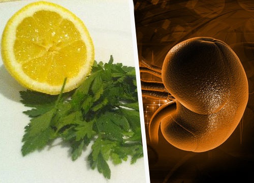 Resultado de imagem para salsa com limão